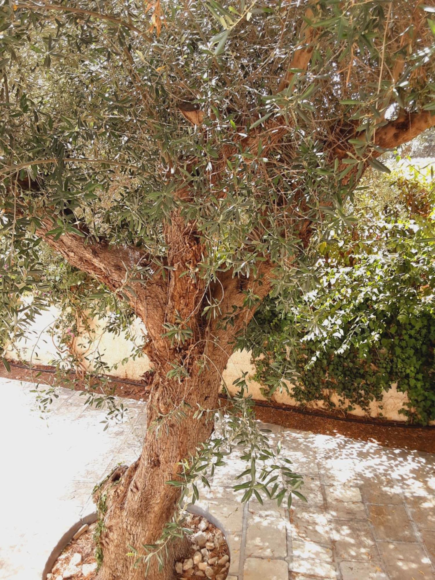 Settimo Sole Relais LaValle Taranto Esterno foto